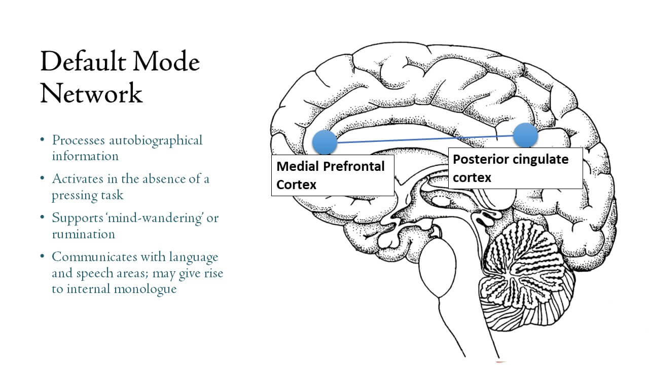 Default system. Дефолтная сеть мозга. Default Mode Network. DMN мозг. Дефолт-система мозга» (ДСМ).