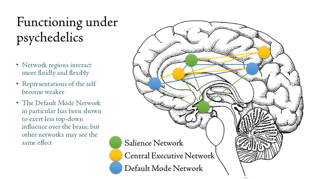 Network may. Default Mode Network. Default Mode Network и salience Network. Frontoparietal Network. Central Executive Network.